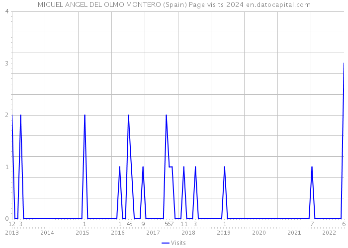 MIGUEL ANGEL DEL OLMO MONTERO (Spain) Page visits 2024 