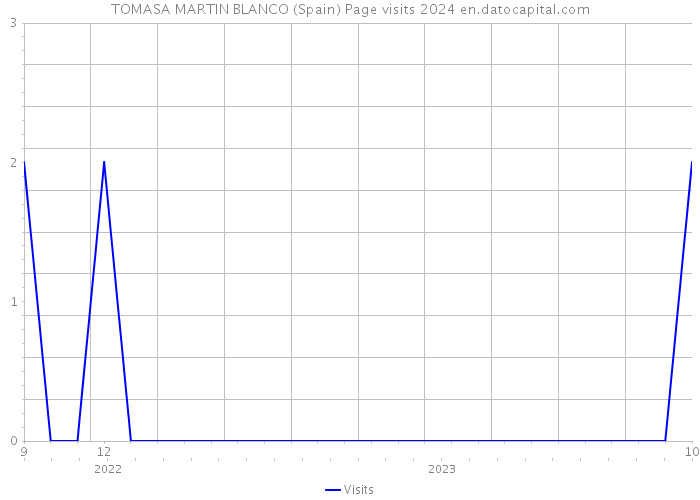 TOMASA MARTIN BLANCO (Spain) Page visits 2024 