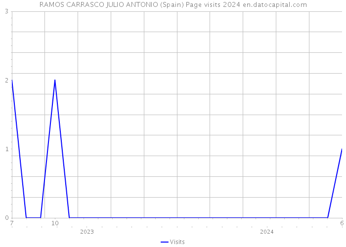 RAMOS CARRASCO JULIO ANTONIO (Spain) Page visits 2024 