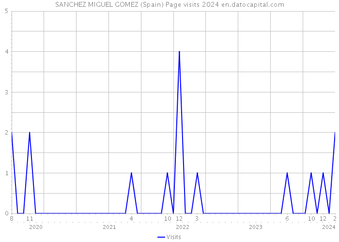 SANCHEZ MIGUEL GOMEZ (Spain) Page visits 2024 