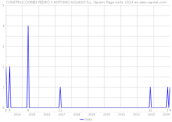 CONSTRUCCIONES PEDRO Y ANTONIO AGUADO S.L. (Spain) Page visits 2024 