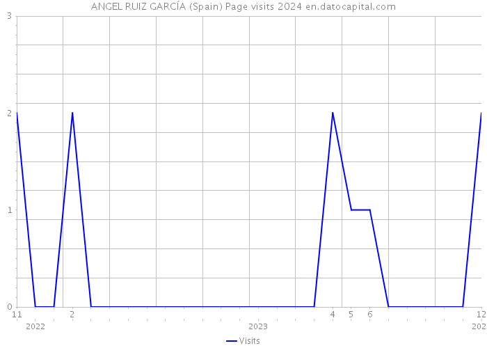 ANGEL RUIZ GARCÍA (Spain) Page visits 2024 