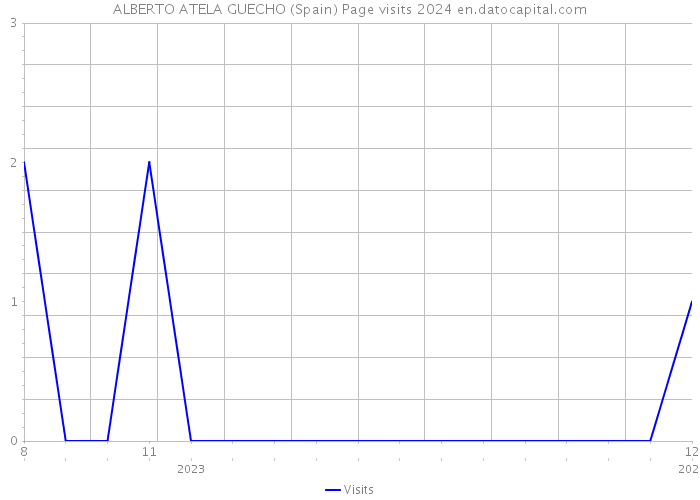 ALBERTO ATELA GUECHO (Spain) Page visits 2024 