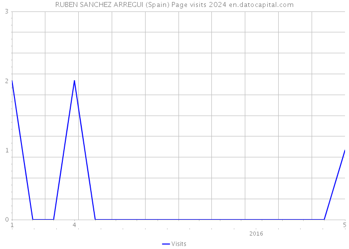 RUBEN SANCHEZ ARREGUI (Spain) Page visits 2024 