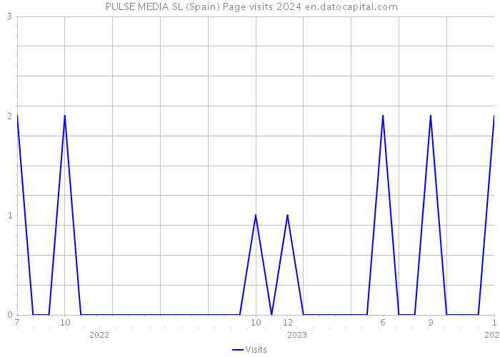  PULSE MEDIA SL (Spain) Page visits 2024 