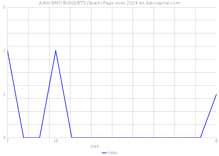 JUAN SIMO BUSQUETS (Spain) Page visits 2024 