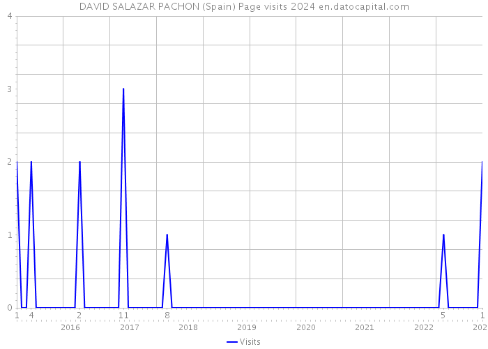 DAVID SALAZAR PACHON (Spain) Page visits 2024 