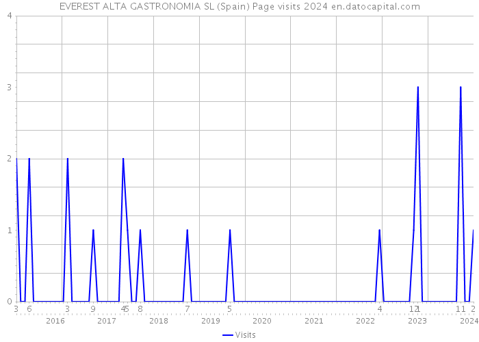EVEREST ALTA GASTRONOMIA SL (Spain) Page visits 2024 