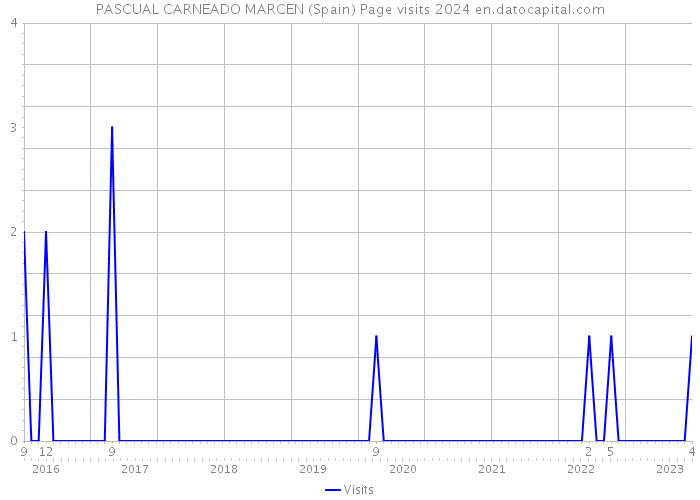 PASCUAL CARNEADO MARCEN (Spain) Page visits 2024 