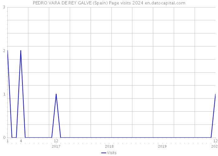 PEDRO VARA DE REY GALVE (Spain) Page visits 2024 