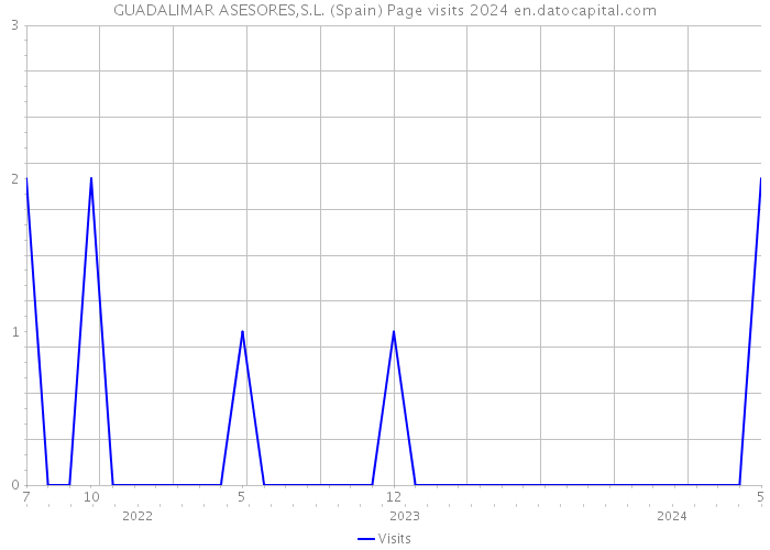 GUADALIMAR ASESORES,S.L. (Spain) Page visits 2024 