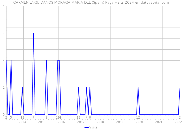 CARMEN ENGUIDANOS MORAGA MARIA DEL (Spain) Page visits 2024 