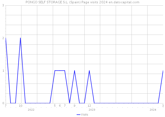 PONGO SELF STORAGE S.L. (Spain) Page visits 2024 