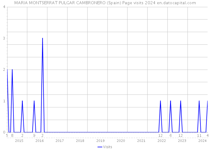 MARIA MONTSERRAT PULGAR CAMBRONERO (Spain) Page visits 2024 