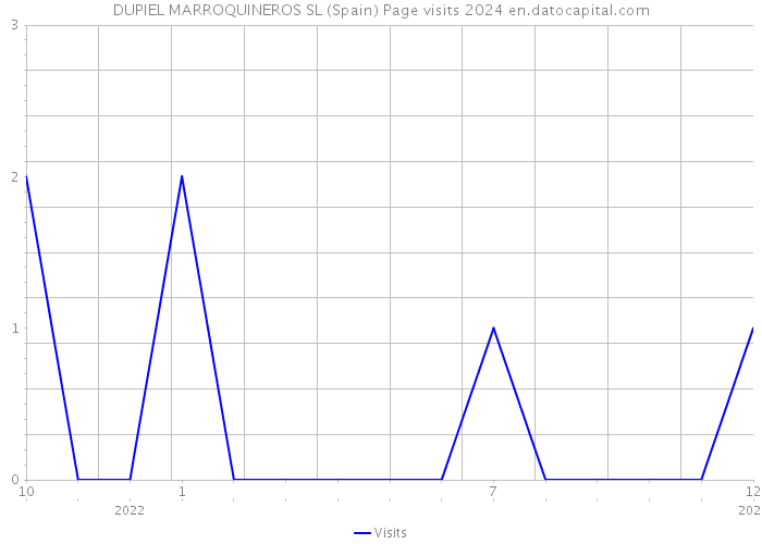 DUPIEL MARROQUINEROS SL (Spain) Page visits 2024 
