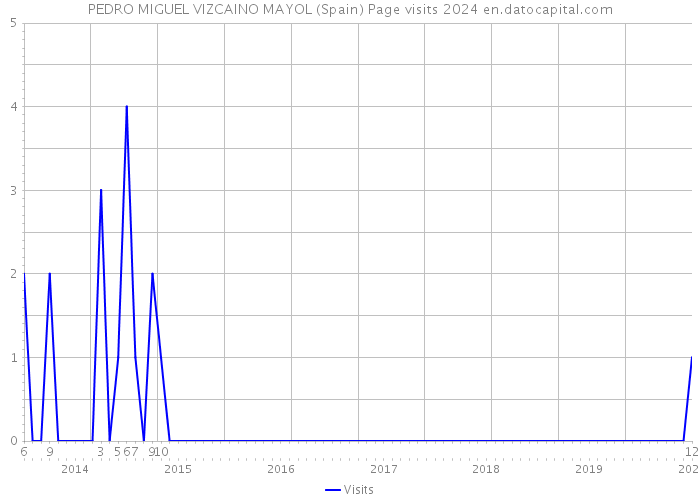 PEDRO MIGUEL VIZCAINO MAYOL (Spain) Page visits 2024 