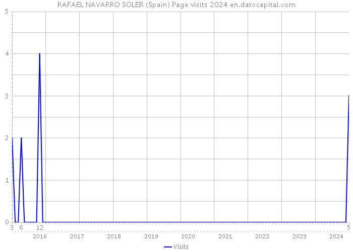 RAFAEL NAVARRO SOLER (Spain) Page visits 2024 