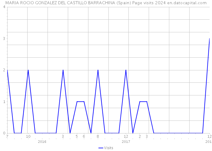 MARIA ROCIO GONZALEZ DEL CASTILLO BARRACHINA (Spain) Page visits 2024 