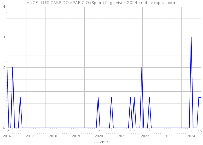 ANGEL LUIS GARRIDO APARICIO (Spain) Page visits 2024 