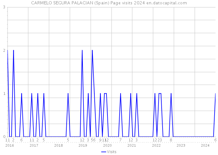 CARMELO SEGURA PALACIAN (Spain) Page visits 2024 