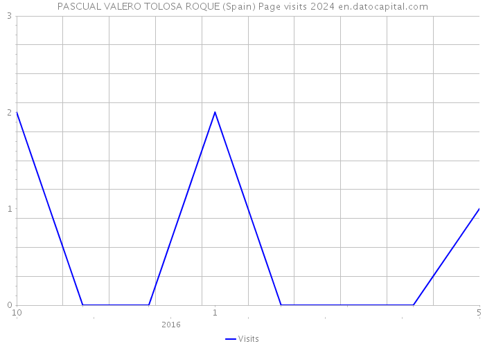 PASCUAL VALERO TOLOSA ROQUE (Spain) Page visits 2024 