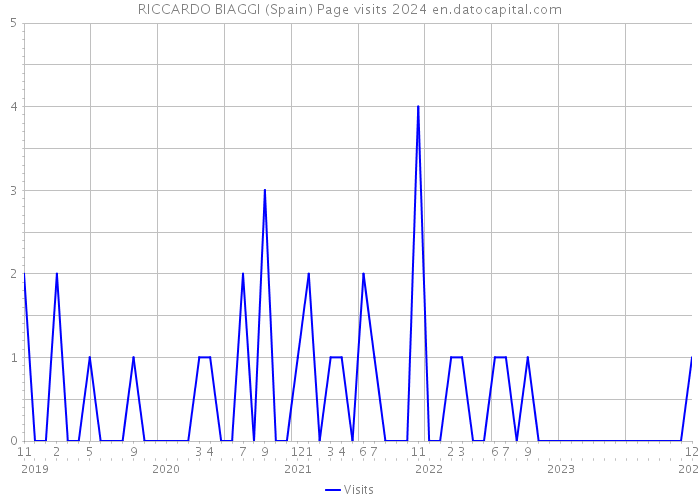 RICCARDO BIAGGI (Spain) Page visits 2024 