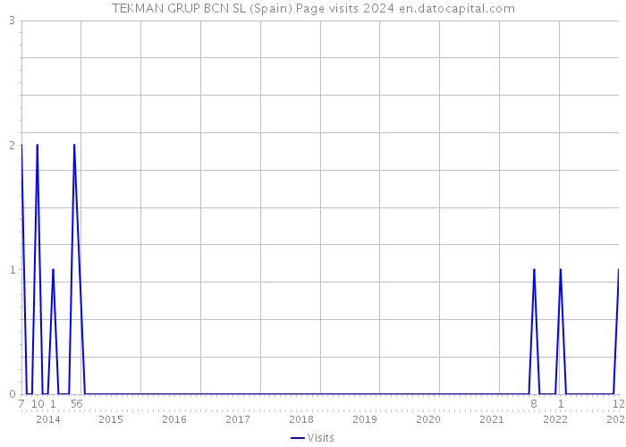 TEKMAN GRUP BCN SL (Spain) Page visits 2024 