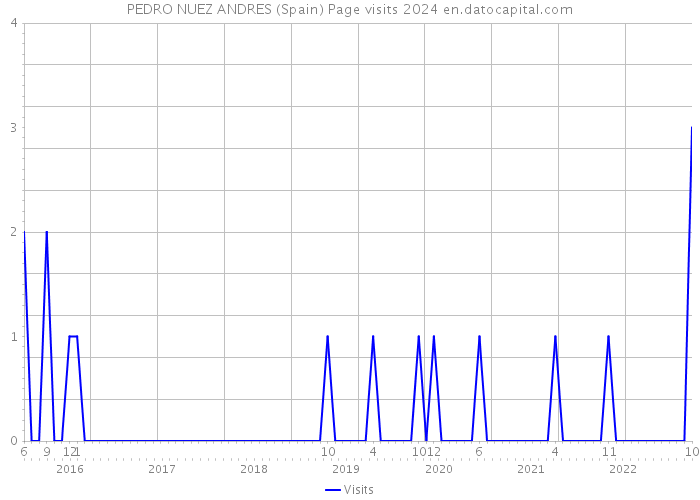 PEDRO NUEZ ANDRES (Spain) Page visits 2024 