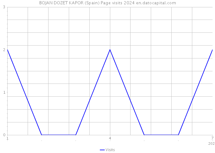 BOJAN DOZET KAPOR (Spain) Page visits 2024 