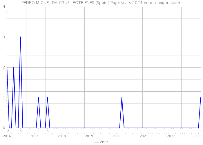 PEDRO MIGUEL DA CRUZ LEOTE ENES (Spain) Page visits 2024 