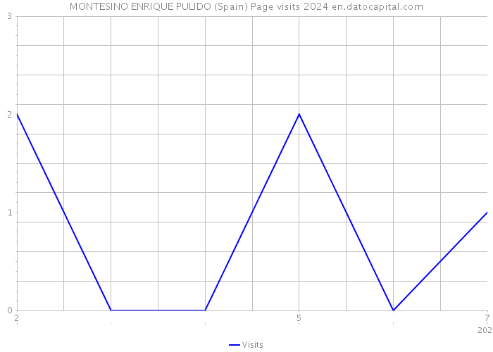 MONTESINO ENRIQUE PULIDO (Spain) Page visits 2024 