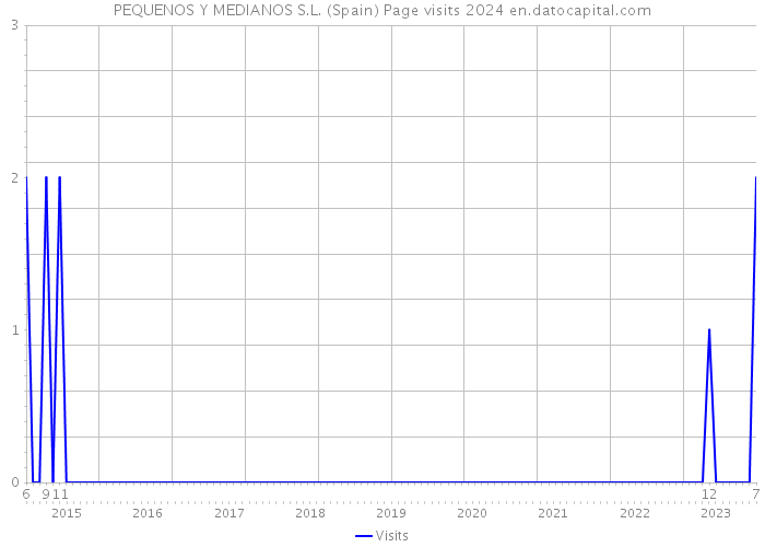 PEQUENOS Y MEDIANOS S.L. (Spain) Page visits 2024 