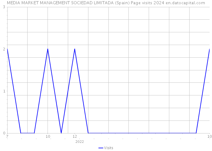 MEDIA MARKET MANAGEMENT SOCIEDAD LIMITADA (Spain) Page visits 2024 