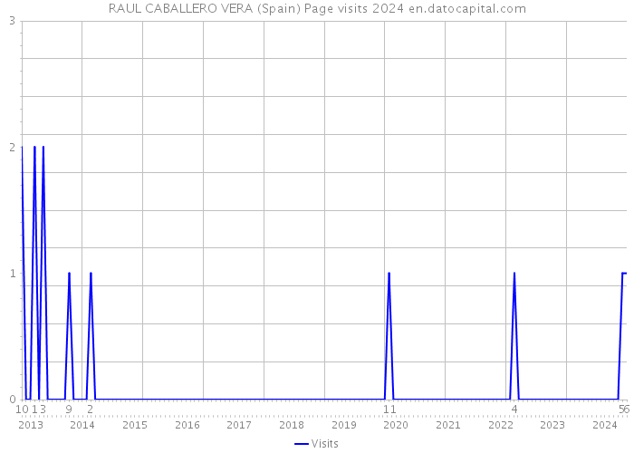 RAUL CABALLERO VERA (Spain) Page visits 2024 