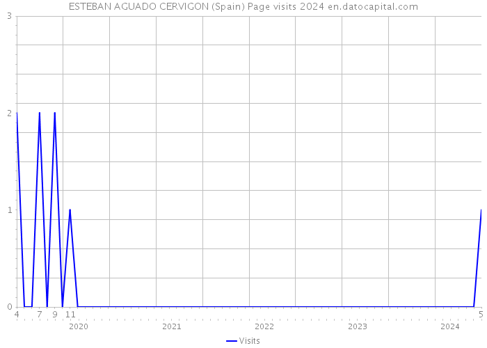 ESTEBAN AGUADO CERVIGON (Spain) Page visits 2024 