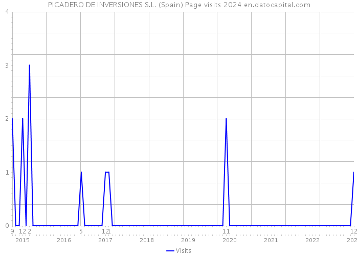 PICADERO DE INVERSIONES S.L. (Spain) Page visits 2024 