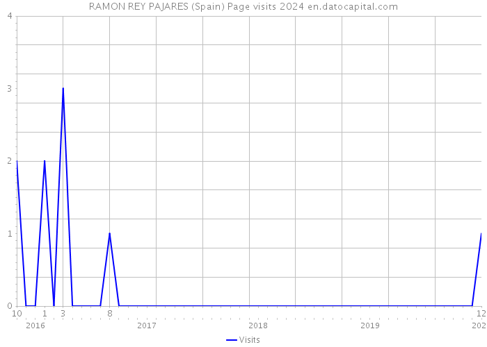 RAMON REY PAJARES (Spain) Page visits 2024 