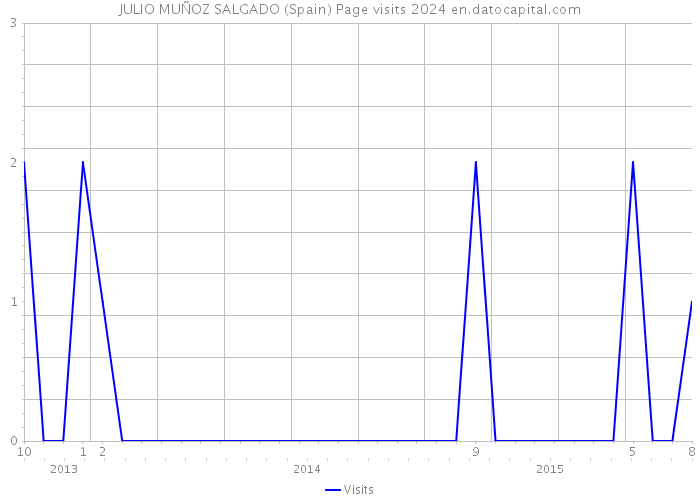 JULIO MUÑOZ SALGADO (Spain) Page visits 2024 