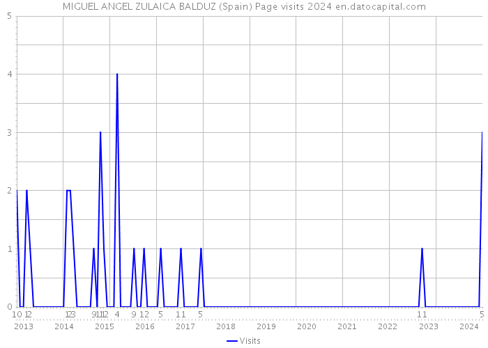 MIGUEL ANGEL ZULAICA BALDUZ (Spain) Page visits 2024 