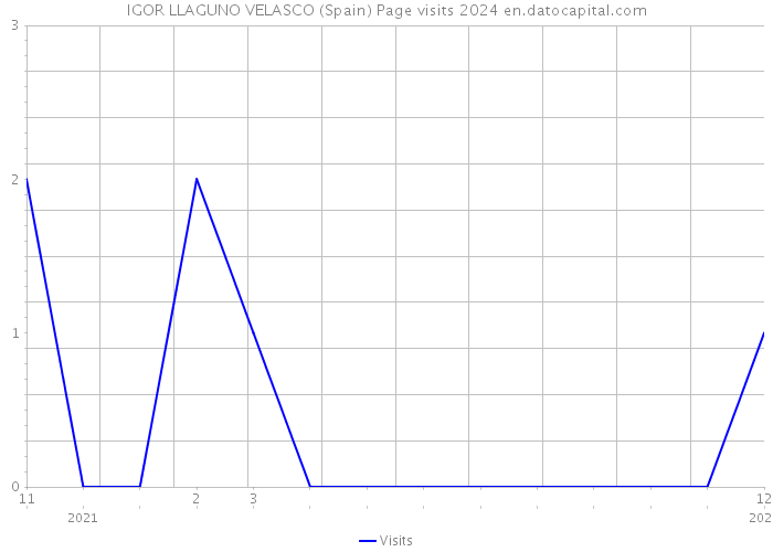 IGOR LLAGUNO VELASCO (Spain) Page visits 2024 