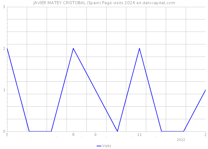 JAVIER MATEY CRISTOBAL (Spain) Page visits 2024 