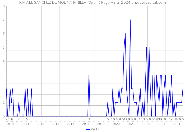 RAFAEL SANCHEZ DE MOLINA PINILLA (Spain) Page visits 2024 