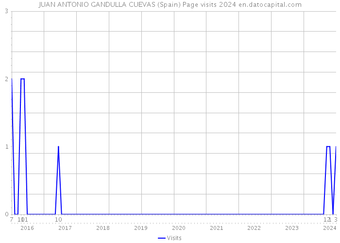 JUAN ANTONIO GANDULLA CUEVAS (Spain) Page visits 2024 