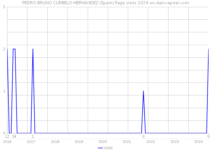 PEDRO BRUNO CURBELO HERNANDEZ (Spain) Page visits 2024 