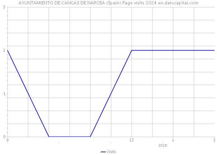 AYUNTAMIENTO DE CANGAS DE NARCEA (Spain) Page visits 2024 