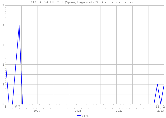GLOBAL SALUTEM SL (Spain) Page visits 2024 