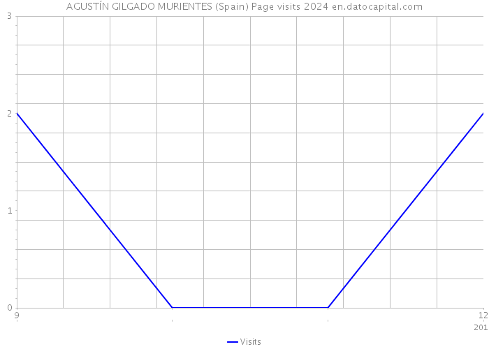 AGUSTÍN GILGADO MURIENTES (Spain) Page visits 2024 