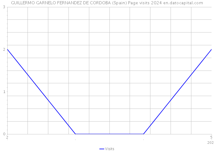 GUILLERMO GARNELO FERNANDEZ DE CORDOBA (Spain) Page visits 2024 