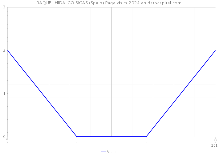 RAQUEL HIDALGO BIGAS (Spain) Page visits 2024 