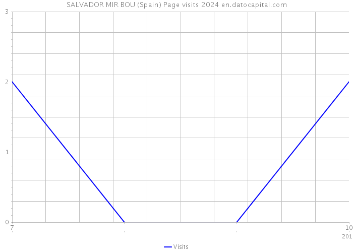 SALVADOR MIR BOU (Spain) Page visits 2024 